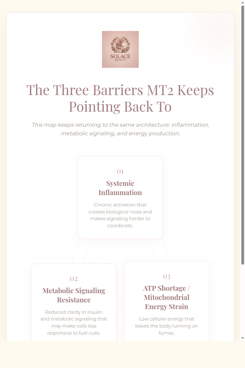 Three barriers detail card: systemic inflammation, metabolic signaling resistance, ATP shortage.